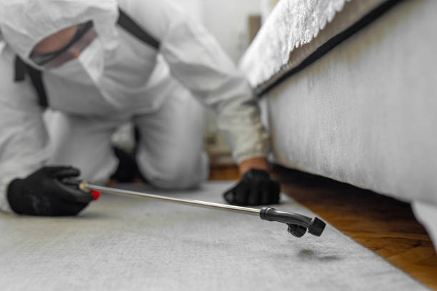 Professional Bed Bug Control technician working in Bolinas, CA
