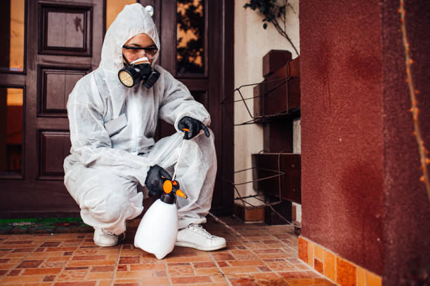 Reliable Bed Bug Control contractor in Bolinas, CA by Nex Pest Control